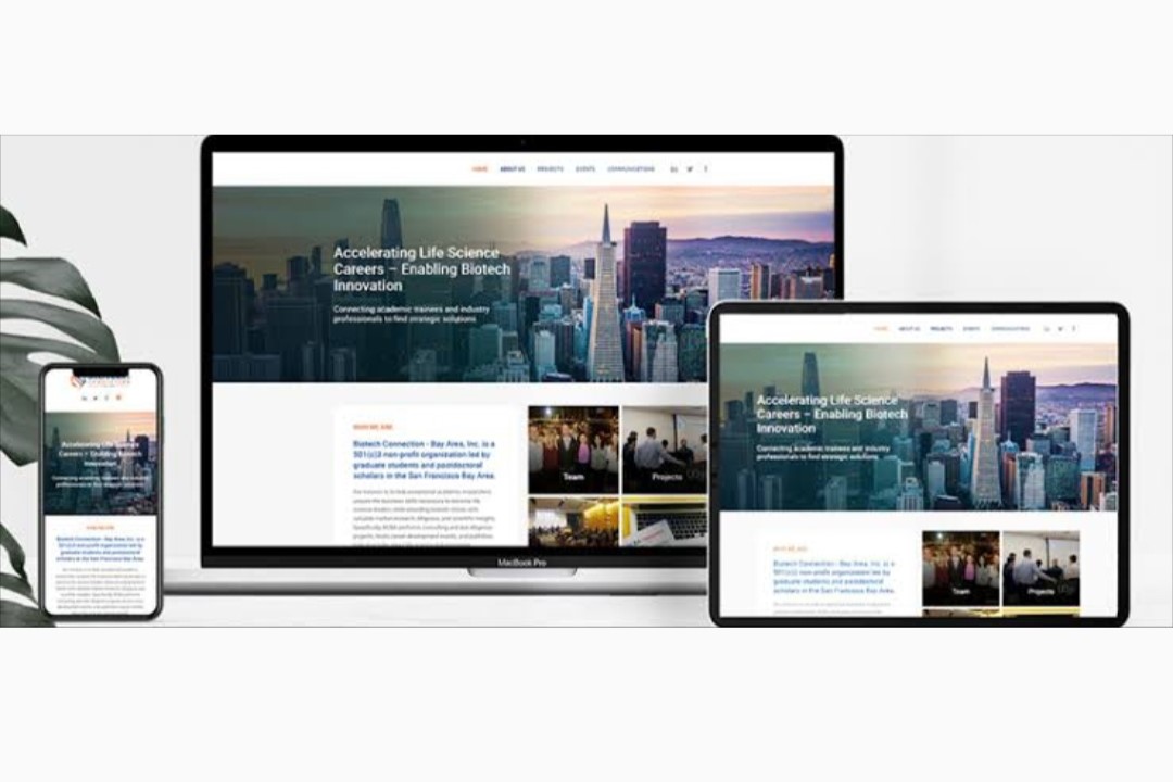 Website Design Services in Bali The Right Solution for the Future of Your Business Image